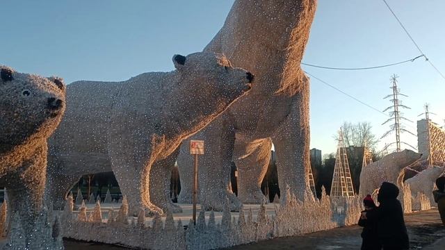 Полярные медведи