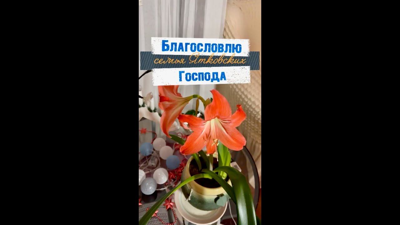Благословлю Господа.