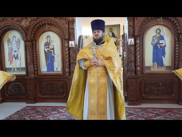 Священник Павел Курганов. Проповедь в день празднования иконы Божьей Матери "Троеручица "