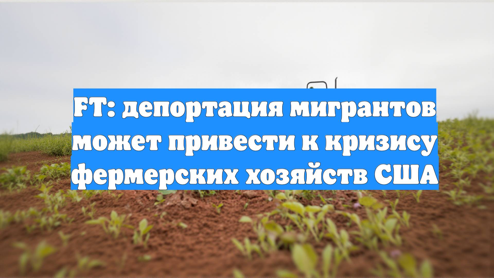 FT: депортация мигрантов может привести к кризису фермерских хозяйств США