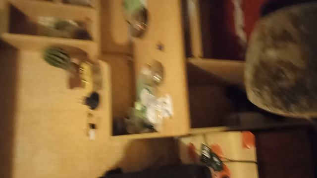 что с моим Алоим