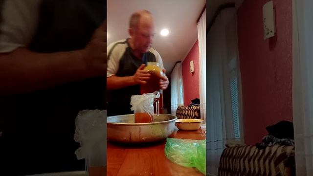 пчелы