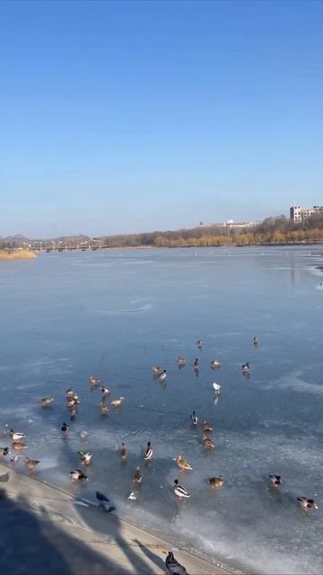 😍 Атмосфера на Набережной в Донецке