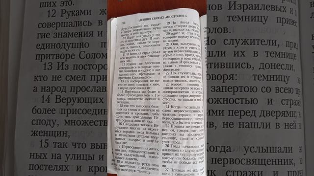 Моя просьба к людям