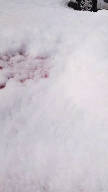 Продолжаем чистить машину от снега