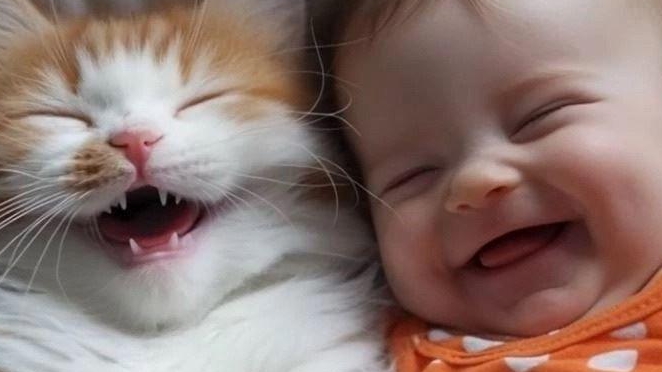 Воспоминания