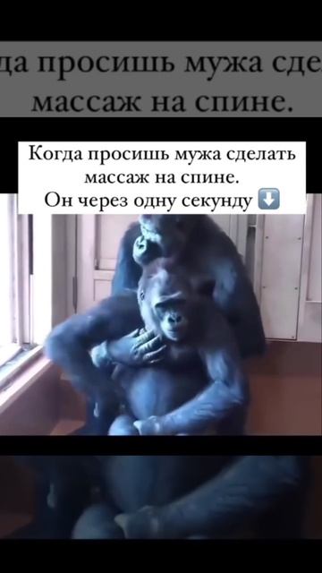 Когда спросишь мужа сделать массаж на спине.Он через секунду