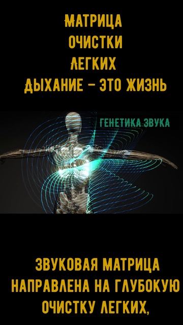 Матрица очистки легких