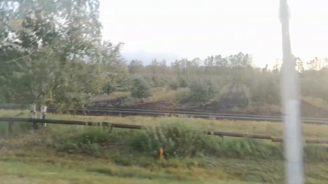 Садовый рай