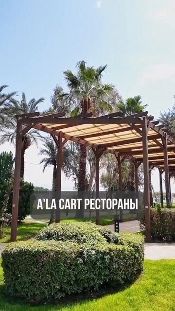 Blue waters club resort 5. Сиде. Турция