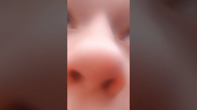 прятки