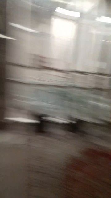 1000012782.mp4