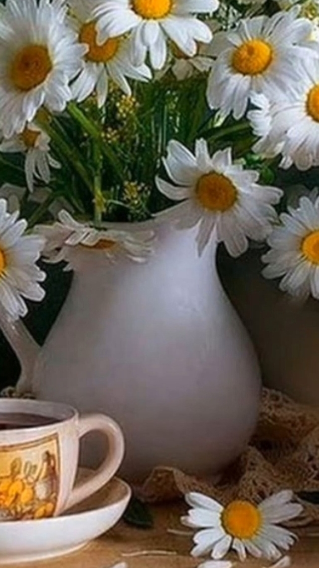 💕🌞 С добрым утром, днём!