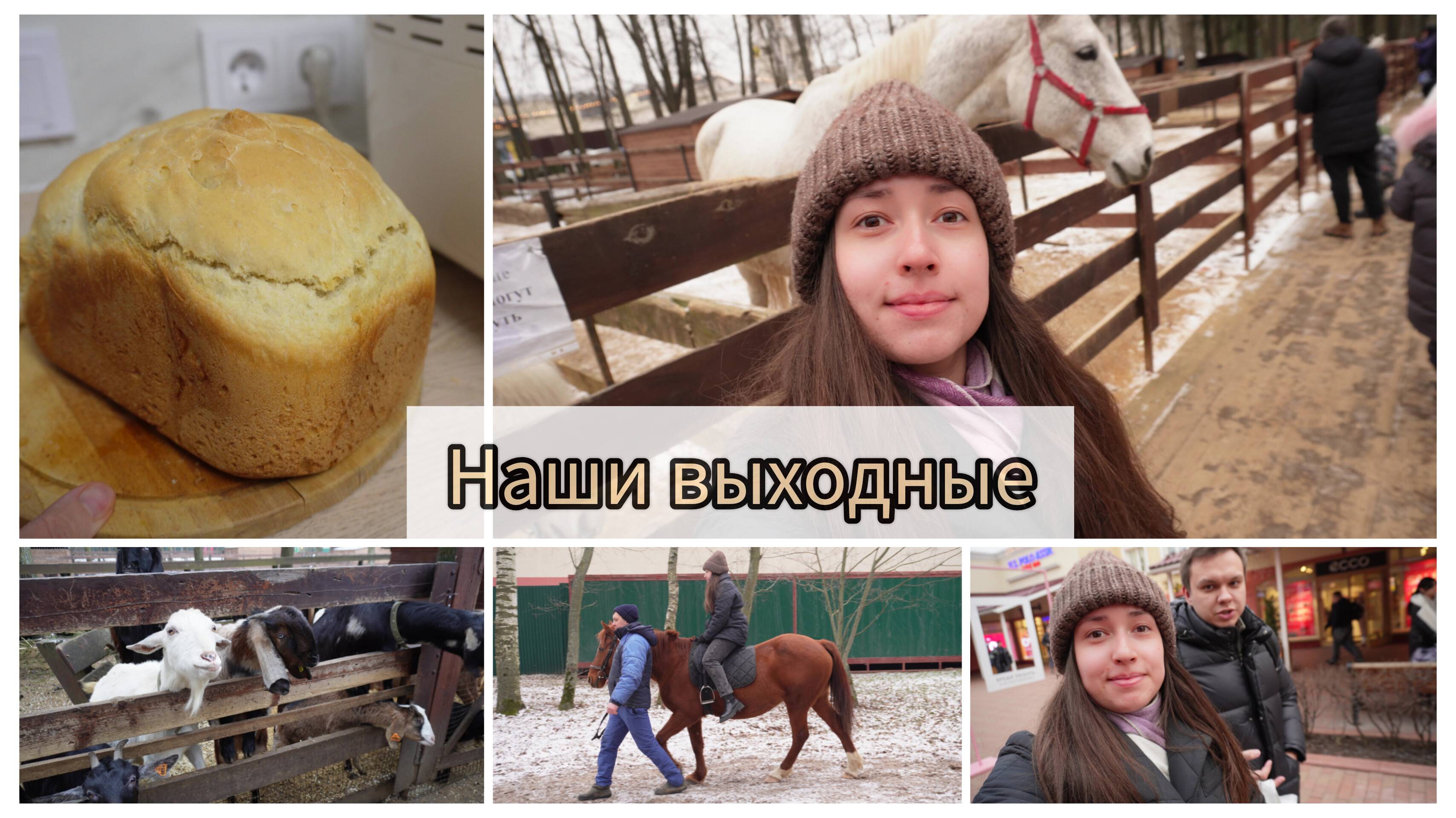 ВЛОГ Бесплатная ферма Внуково Аутлет, впервые на лошади, делаем загран, домашний хлеб в хлебопечке