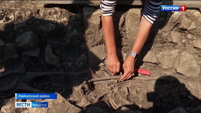 2024 Раскопки Азишского грунтовоого могильника