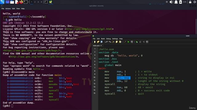 13 Debugging x86-64 2. Debugging and Finding Variables in Memory addresses