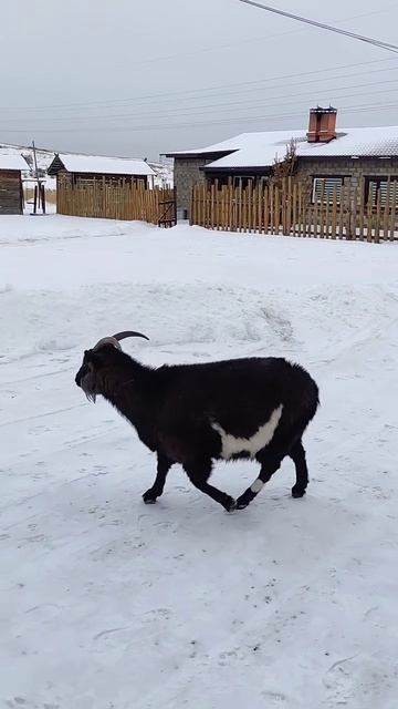 Красноярск