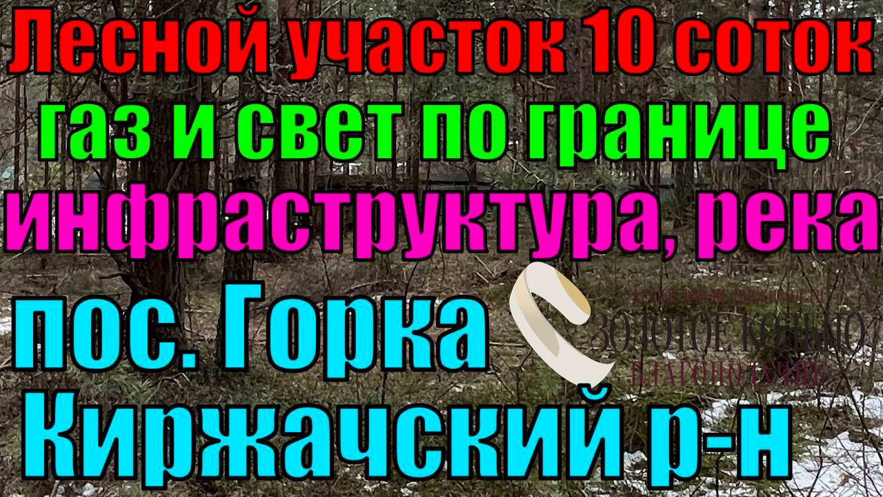 Продается земельный участок 12 соток с сосновым бором в пос. Горка Киржачского района