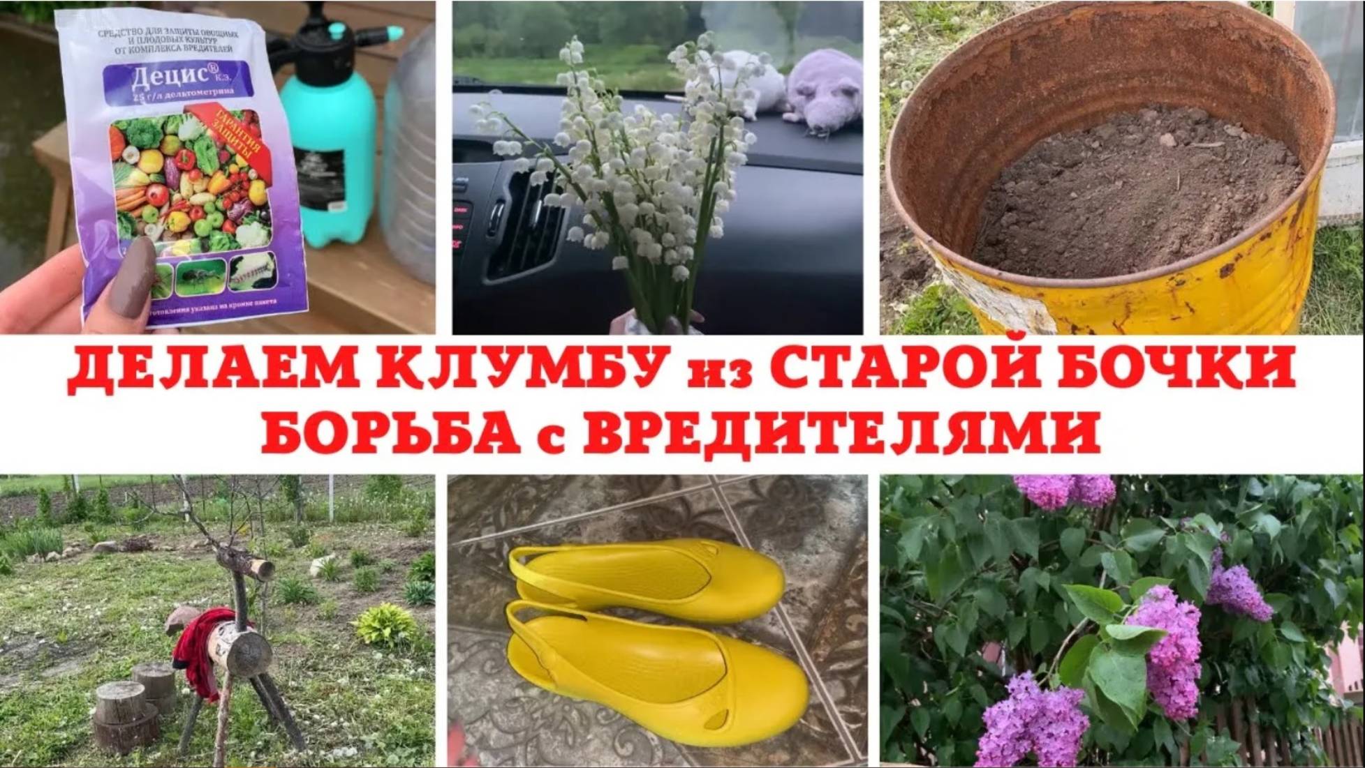 КЛУМБА из СТАРОЙ БОЧКИ 🔥 БОРЬБА с ВРЕДИТЕЛЯМИ ❌ СОЖГЛИ ОЛЕНЯ 😳 САДОВАЯ ОБУВЬ ✅