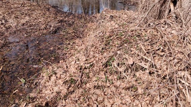 VID_20240402_132817