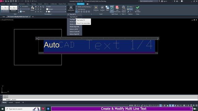 3. Create & Modify Multi Line Text