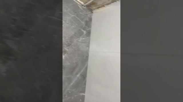1000047478.mp4
