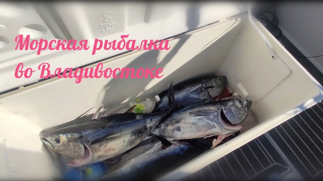 Морская рыбалка во Владивостоке