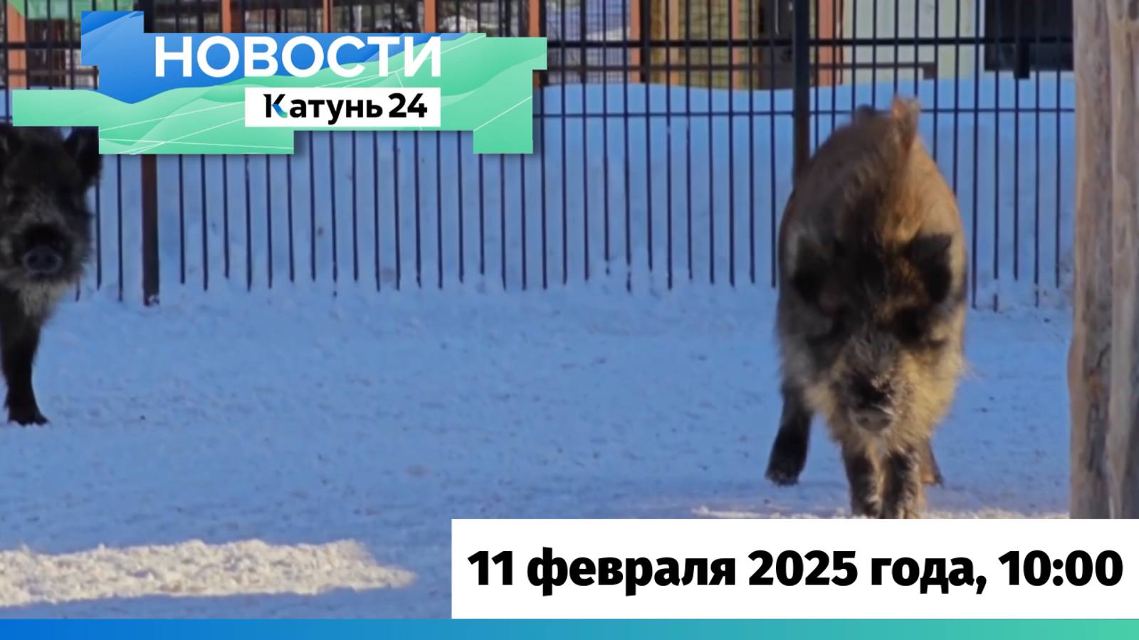 Новости Алтайского края 11 февраля 2025 года, выпуск в 10:00
