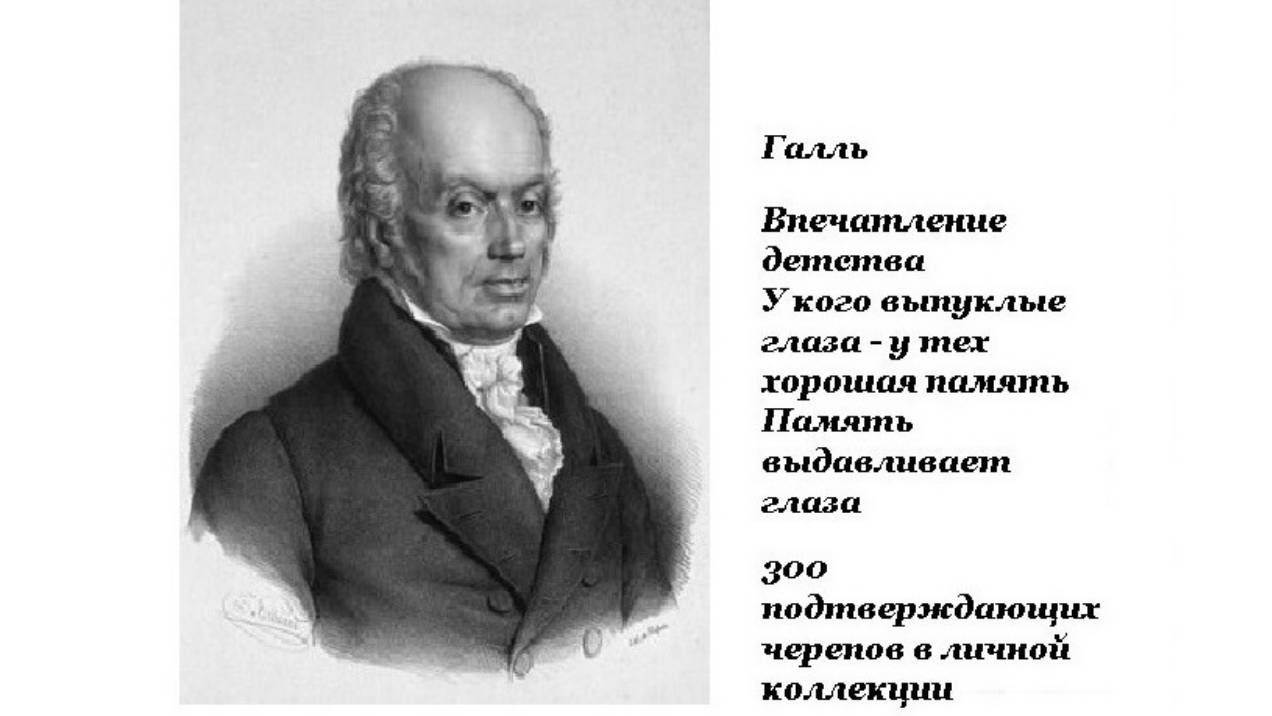 3.5.3  Френология Галля  Эквипотенцализм Лейбница  Когнитивные примитивизмы