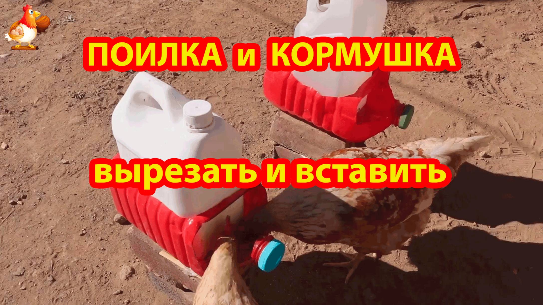 Кормушка и поилка курам просто вырезать из канистр ПВХ и вставить 💦🐓❣️