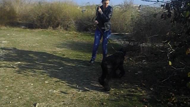 2. ПЛОЩАДКА.  20.11.2012 ОБУЧЕНИЕ АППОРТИРОВКЕ. РК МАРИЭТТА 8 МЕС.