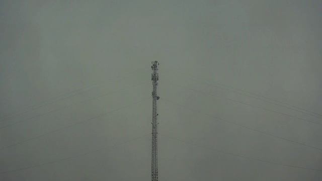 прогулка до брусеницы17г