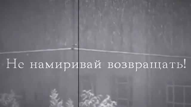 Долг с намерением отдать его