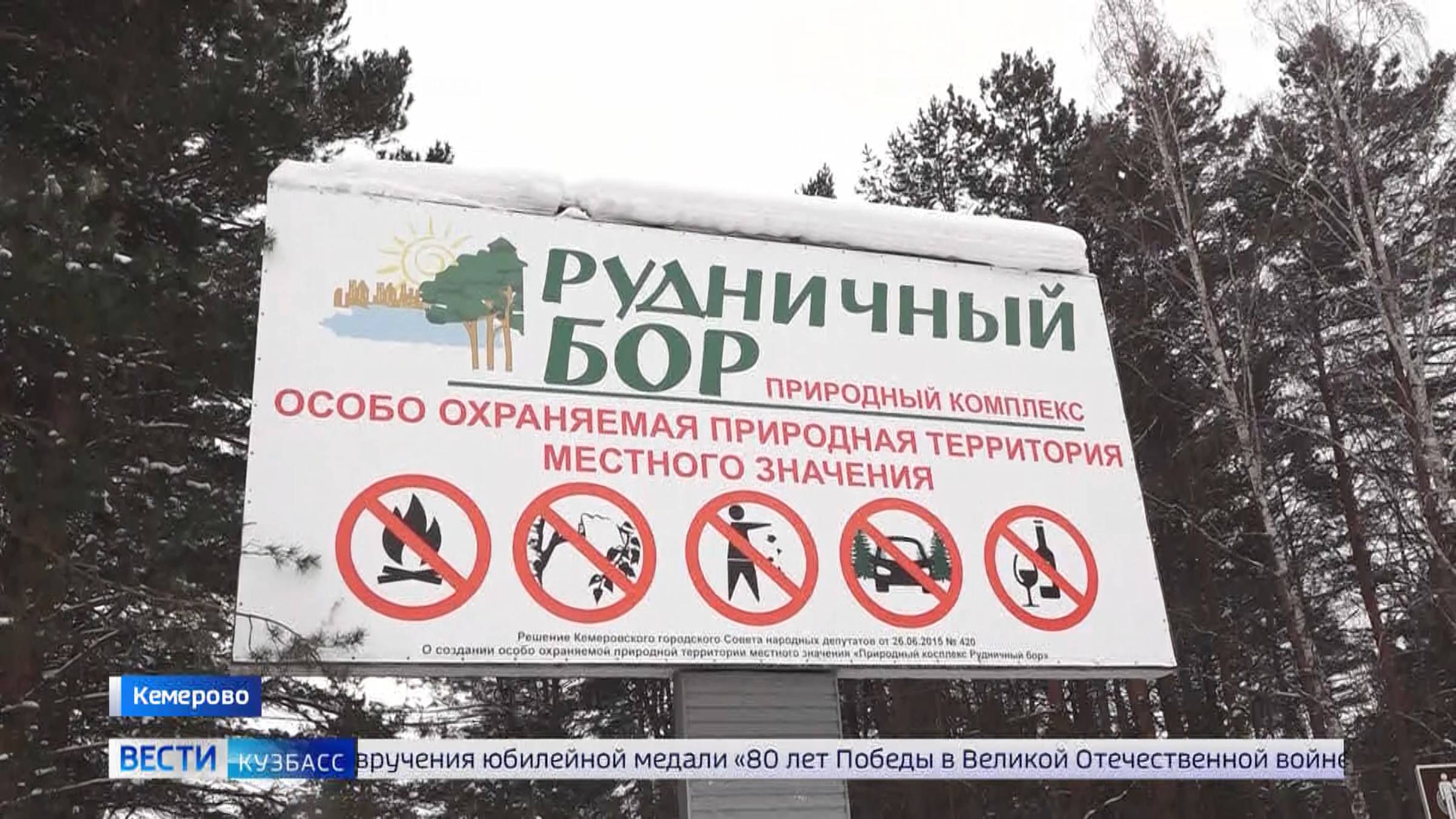 Кемеровчане бьют тревогу: Рудничный бор зарос кустарниками