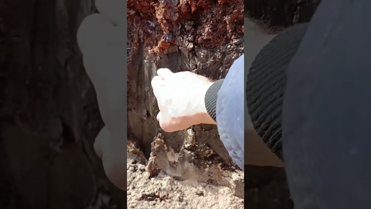 Закопаю фундамент в землю.