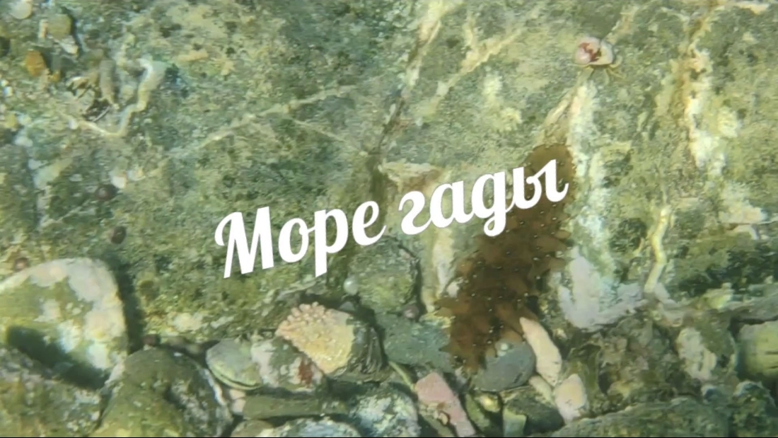 Владивосток # Снорклинг