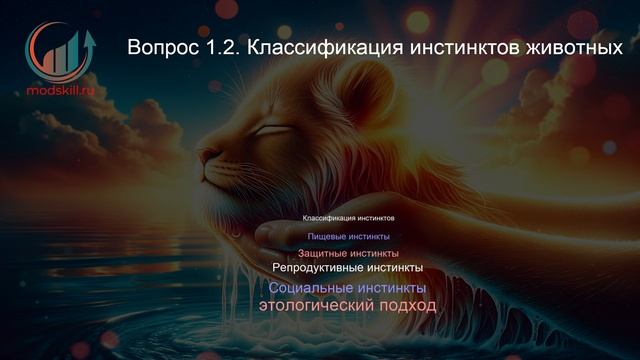 Зоопсихология. Профпереподготовка. Лекция. Профессиональная переподготовка для всех!