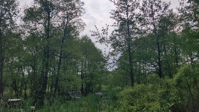 VID_20240518_121639