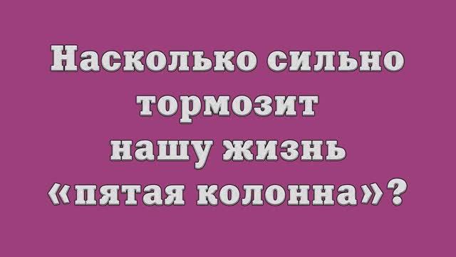 Насколько сильно тормозит нашу жизнь «пятая колонна»_