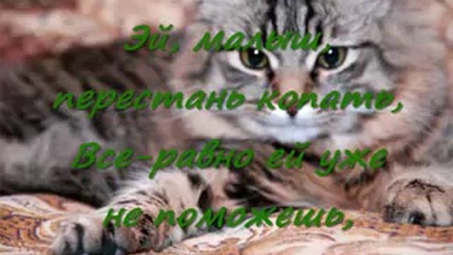 Отчего так жестоки люди？