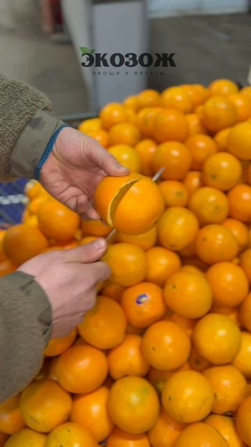 Апельсин 🍊
