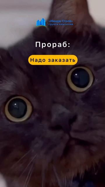 Ремонт и отделка помещений