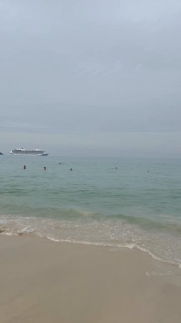 Местные жителиПатонга #patong #beach #phuket #патонг #таиланд #море #thailand #пхукет #краб #крабиК