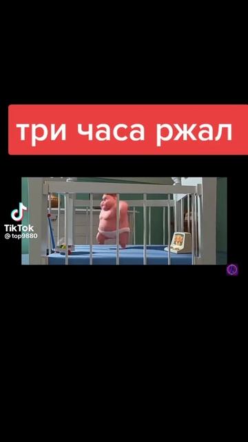 прикол
