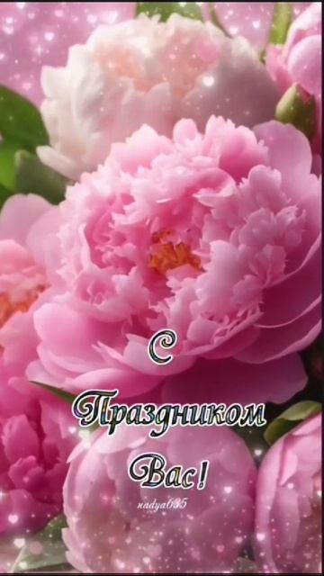 VID-20250211-WA0006