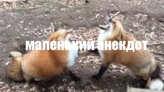 МАЛЕНЬКИЙ АНЕКДОТ