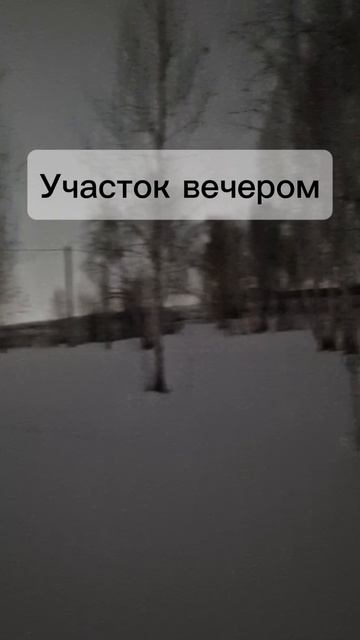 участо Ветеран 3