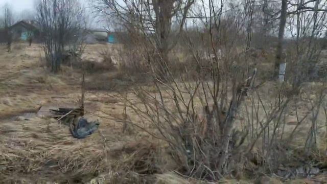 Пешком по Кривячке. Середина апреля 2024г.