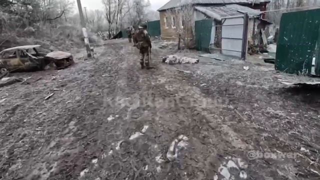 Группа «Каштан» в Курской области показала большое количество убитых бойцов ВСУ.